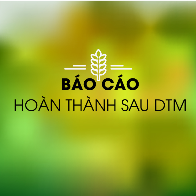 Báo cáo hoàn thành ĐTM
